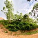 For sale: Spacious land near Nyandungu in Kigali