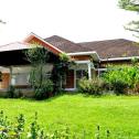 Kigali House for rent in Kimihurura 