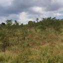 Land for sale in Bugesera Rwanda