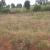 Land for sale in Muhazi Gasabo Kigali Rwanda