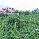 Kigali plot for sale in Kanombe at Nyarugunga 